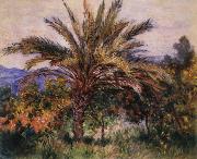 Claude Monet A Palm Tree at Bordighera oil painting reproduction